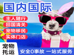 菏泽空运国际宠物托运 【国